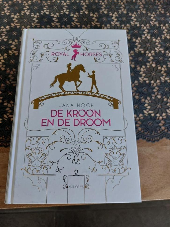 Young Adult  boek "Jana Hoch "De kroon en de doorn, Livres, Fantastique, Utilisé, Enlèvement
