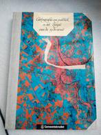 Cartografie en politiek in het Beleid van de 19 de eeux, Boeken, Ophalen of Verzenden, Zo goed als nieuw