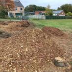 Gratis haksel van dennenbomen en wilg, Tuin en Terras, Brandhout, Ophalen