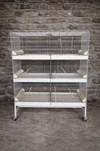 Cova Draadkooien Broedkooien 2dehands, Dieren en Toebehoren, Ophalen