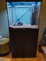 Aquarium, Dieren en Toebehoren, Ophalen