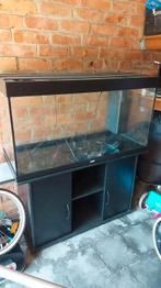 Aquarium Jewel 350l + meubel en pomp, Dieren en Toebehoren, Vissen | Aquaria en Toebehoren, Ophalen, Zo goed als nieuw