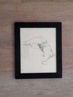 Pentekening Morning Glory / ingelijst, Ophalen of Verzenden