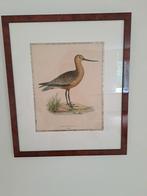 2 x mahonie kaders met litho s van vogels, Antiek en Kunst, Ophalen