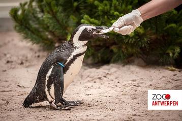 2 x tickets  Zoo Antwerpen  beschikbaar voor biedingen