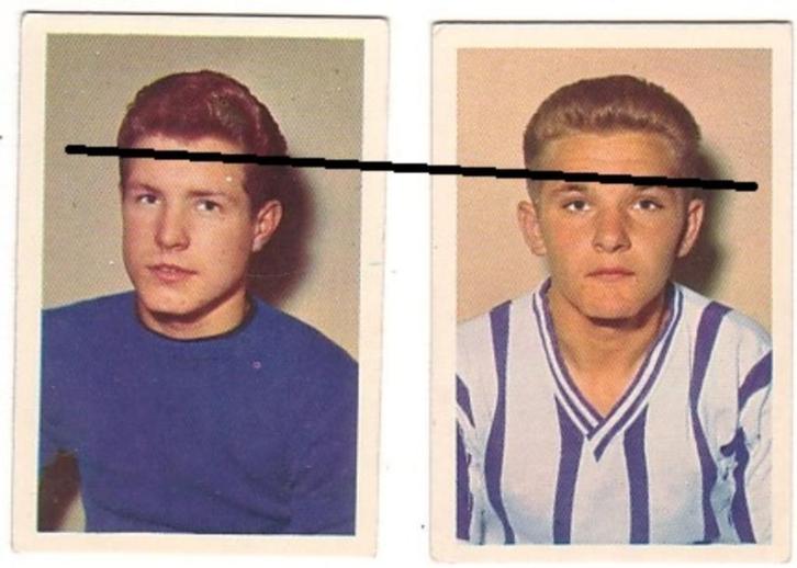 Maple Leaf - Beerschot, Verzamelen, Sportartikelen en Voetbal, Gebruikt, Poster, Plaatje of Sticker, Verzenden