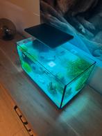Superfish aquarium 40 pro, Dieren en Toebehoren, Ophalen, Zo goed als nieuw