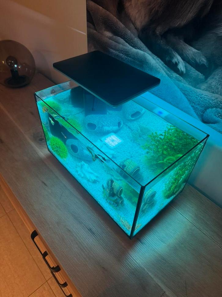 Superfish aquarium 40 pro, Dieren en Toebehoren, Vissen | Aquaria en Toebehoren, Zo goed als nieuw, Ophalen