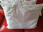 Hoofdkussens, Enlèvement ou Envoi, Comme neuf