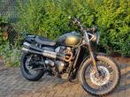 Triumph Street Scrambler 900, Motoren, 2 cilinders, 900 cc, Particulier, Meer dan 35 kW