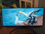 LG 29" Ultrawide Monitor (29WQ500), Computers en Software, Ophalen, HDMI, IPS, Zo goed als nieuw