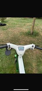 Honda  wallarro A klasse, Fietsen en Brommers, Ophalen, Gebruikt, Klasse A (25 km/u), 50 cc