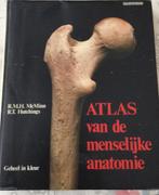 Atlas van de menselijke anatomie, Comme neuf, Enlèvement ou Envoi