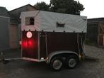 IFOR Williams 2 paardstrailer  HB505, 2-paards trailer, Gebruikt, Hout, Ophalen