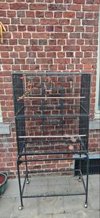 Grande cage pour oiseaux perruches, Animaux & Accessoires, Oiseaux | Cages & Volières, Enlèvement, Comme neuf