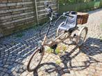 Electrische Driewiel fiets - Papillon, Fietsen en Brommers, Fietsen | Driewielfietsen, Ophalen, Zo goed als nieuw, Papillon