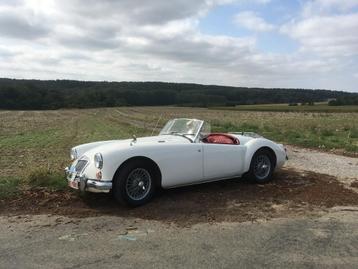MGA 1600 1960, Cuir, Achat, Noir, Particulier