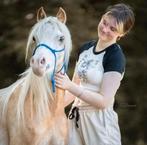 Verzorger gezocht, Poney B (1.17 m à 1.27 m), Hongre, Poney de récréation, 3 à 6 ans