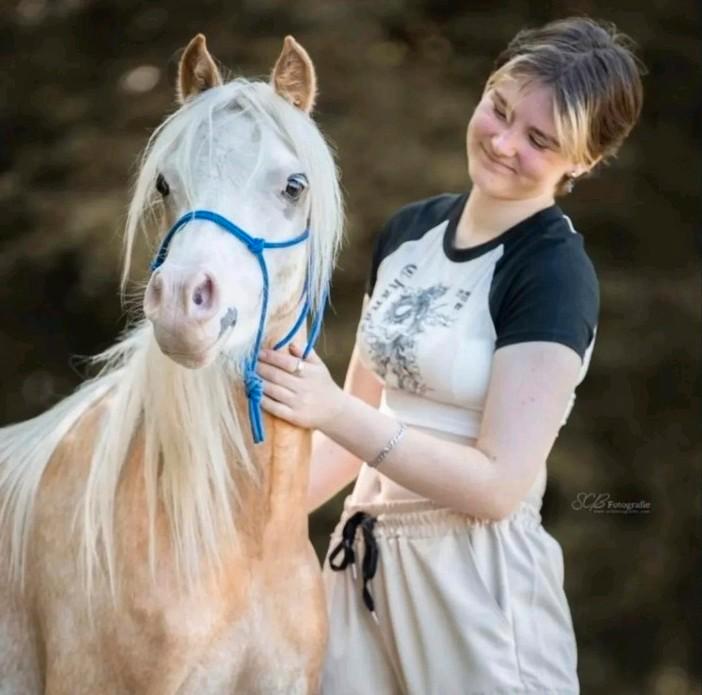 Verzorger gezocht, Animaux & Accessoires, Poneys, Hongre, Ne s'applique pas, Poney B (1.17 m à 1.27 m), Poney de récréation, 3 à 6 ans