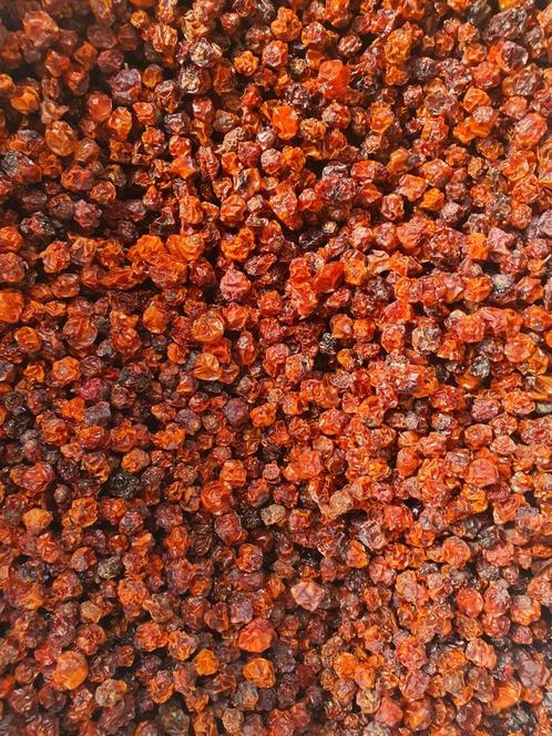 Lijsterbessen 500 gram - Enkelvoudige zaden - Winkel en Webs, Dieren en Toebehoren, Dierenvoeding, Ophalen
