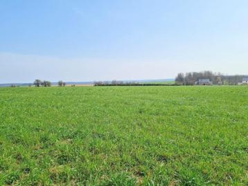 6929 Haut-Fays, Daverdisse : terrain à bâtir, 10a 01ca., Daverdisse, 1000 à 1500 m²