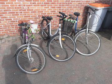 3 meisjes  fietsen 