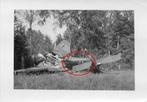orig. foto - vliegtuig Junkers Ju 87 Stuka - WO2, Foto of Poster, Luchtmacht, Verzenden