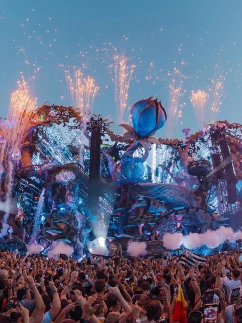 Tomorrowland is op zoek naar een ticket (moet uitpakken, bab, Tickets en Kaartjes, Evenementen en Festivals, Eén persoon, Meerdaags