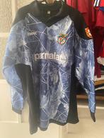 Benfica-shirt gedragen door de speler, Shirt, Zo goed als nieuw