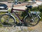 Elektrische mannenfiets Sparta ION GL 65, Fietsen en Brommers, Elektrische fietsen, Ophalen, Gebruikt, Sparta