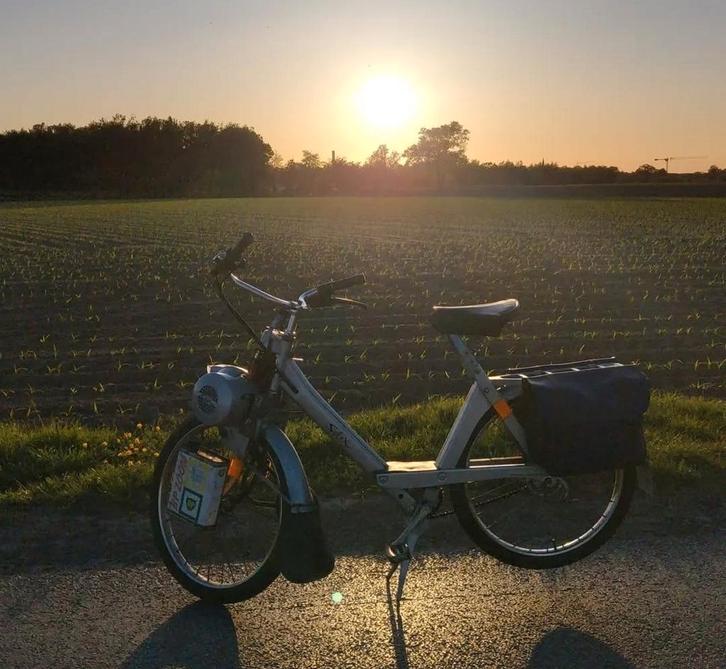 Solex 3800, Fietsen en Brommers, Brommers | Solex, Gebruikt, Klasse A (25 km/u), Ophalen