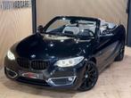 BMW 2 Serie 218 DA * CABRIOLET LUXURY * GAR 12 MOIS * 114MKM, Autos, Cuir, 116 g/km, Entreprise, Cabriolet