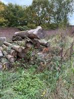 Lot boomstammen, 6 m³ of meer, Ophalen of Verzenden, Overige houtsoorten, Stammen