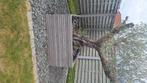 Olijfboom in pot, Tuin en Terras, 100 tot 250 cm, Olijfboom, Ophalen, Volle zon