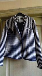 VEST "EDC", Maat 38/40 (M), Blauw, Ophalen of Verzenden, Zo goed als nieuw