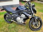 Kawasaki ER6n, Particulier