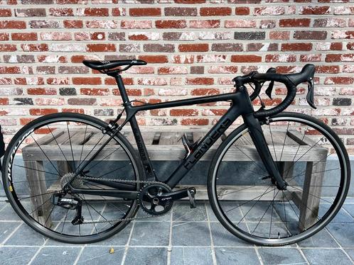 Vélo de route en carbone Flanders RX01 (taille XS-49), Vélos & Vélomoteurs, Vélos | Vélos de course, Comme neuf, Carbone, Enlèvement