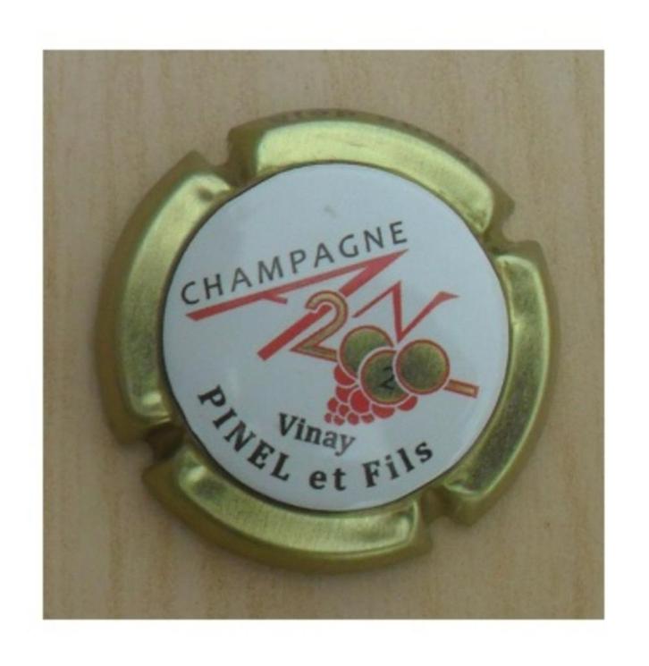 Champagne capsules - Pinel & F Champagne 2020 JERO (L 7846), Verzamelen, Complete verzamelingen en Collecties, Verzenden