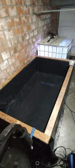 Tropische binnenvijver met visbestand €350, Enlèvement