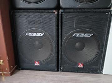 Peavy speakers 2x  beschikbaar voor biedingen
