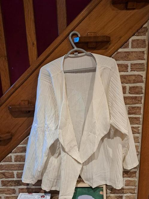 Veste d'été blanche 4xl, Vêtements | Femmes, Blouses & Tuniques, Neuf, Taille 46/48 (XL) ou plus grande, Blanc, Enlèvement