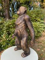 Cool monkey, jardin, chambre de bébé, animaux 80 cm, Enlèvement, Neuf, Synthétique, Animal