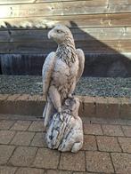 Massief betonnen tuinbeeld, mighty Eagle, Enlèvement, Neuf, Béton, Animal