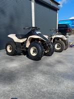 suzuki lt 80 quad, Motoren