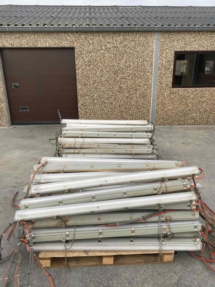 Tl lampen, Articles professionnels, Agriculture | Outils, Élevage, Équipement de grange, Enlèvement