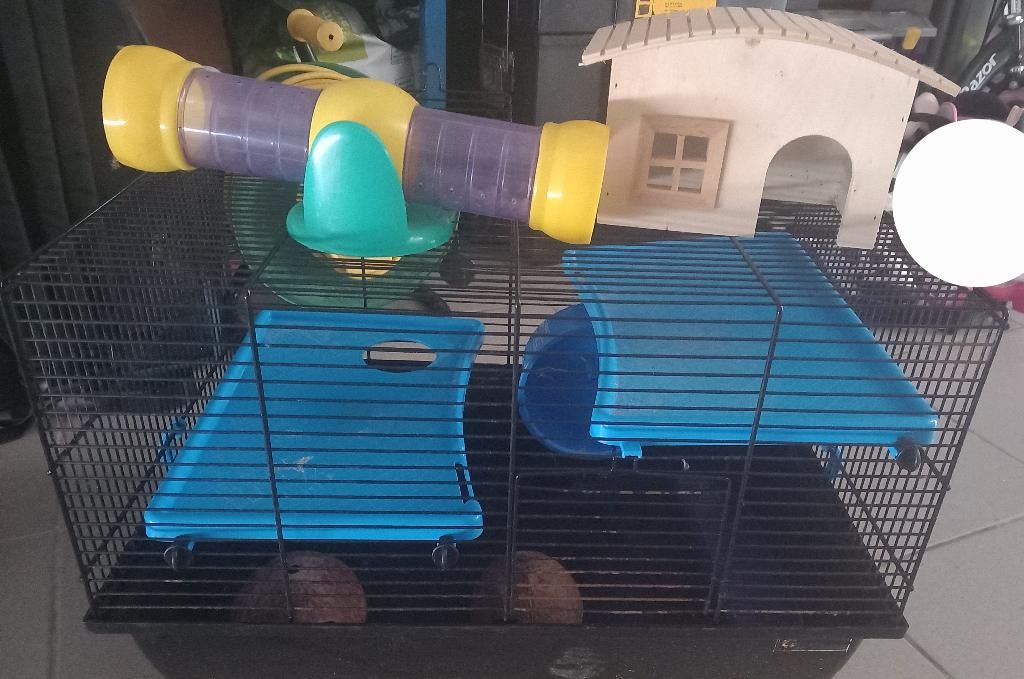 Hamster kooi plus toebehoren, Ophalen, Kooi, Gebruikt, 60 tot 90 cm
