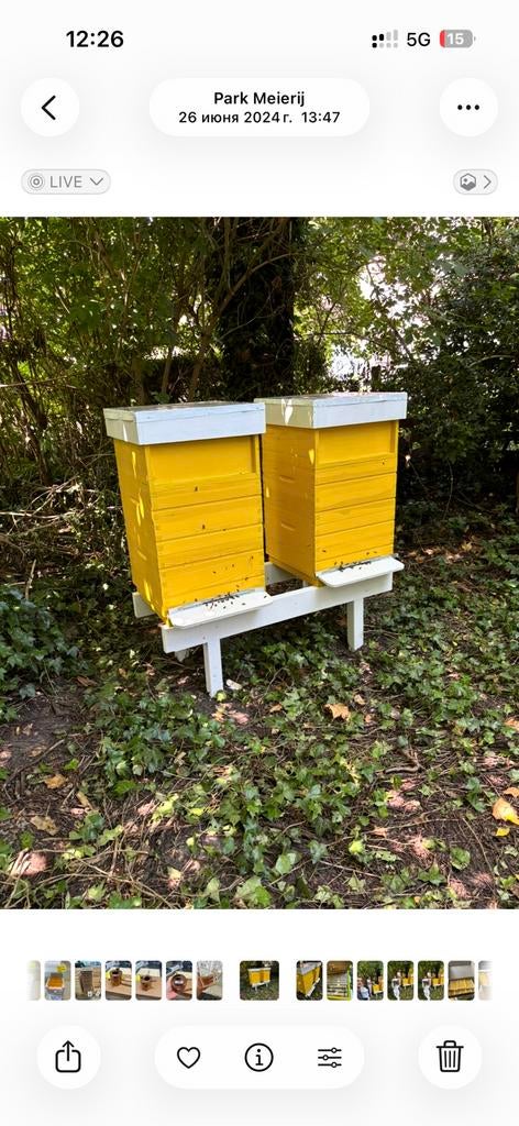 plek voor bijen, Ophalen, Zo goed als nieuw