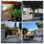 Location saisonnière Sanary-sur-Mer, Vacances, Propriétaire, Village, 1 chambre, Provence et Côte d'Azur