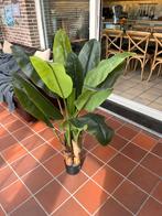 Kunstplant bananenplant, Huis en Inrichting, Woonaccessoires | Kunstplanten en Kunstbloemen, Ophalen, Gebruikt, Kunstplant