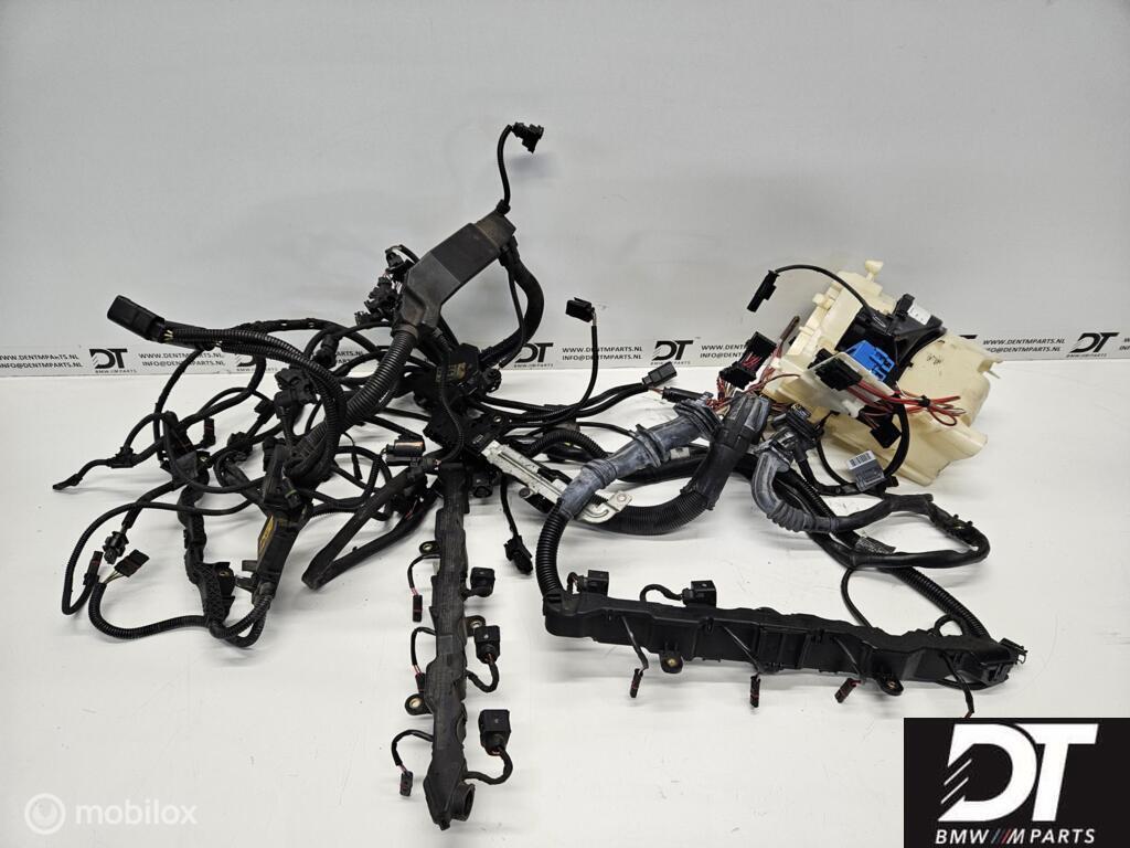 Kabelboom motor BMW X5M E70 S63 4.4 S63B44A 12517601325, Gebruikt, Ophalen of Verzenden, BMW, BMW